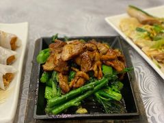 芥兰炒肥叉-粤·向群饭店(龙津东路总店)