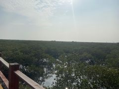 -北海金海湾红树林生态旅游区