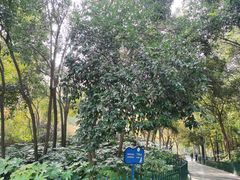 -西安市长乐公园