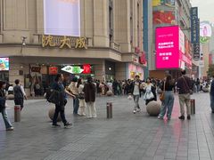 -沈大成(南京东路店)