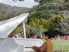 -广州市石门国家森林公园