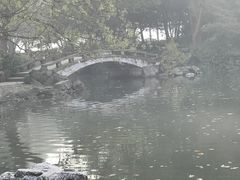 -西湖外事游船(花港观鱼码头)