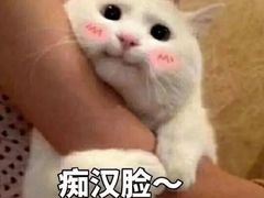 -拾下卜卜贝•海鲜火锅