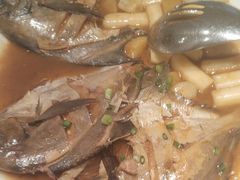 -新吉士·上海菜(浦东LCM置汇旭辉店)