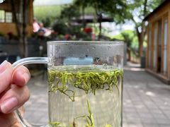 -张鸟园农家乐(张鸟园店)