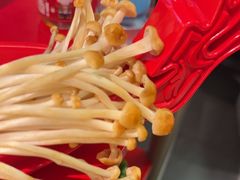 -小龙坎火锅(IFS HOT店)