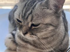 -怪兽屋·羊驼·猫咖·狗咖(俊华广场店)