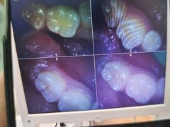 -牙博士口腔品牌连锁(杨浦店)