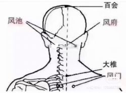 点击看大图 -香薇妮丝女子减肥院