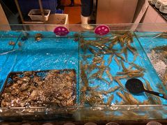 -阳光岛·海鲜盛宴(银泰中心in99店)
