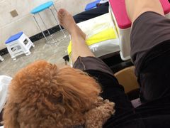 -郑远元专业修脚房·按摩·肉刺·灰指甲(天润城八街区店)