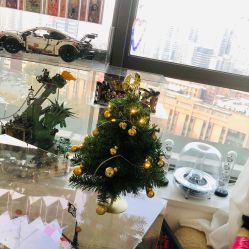 -E.L.K造型momopark店