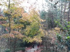 -天台山赤城山景区