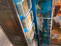 水产区-东大桥小国抻面烧烤(长通路店)