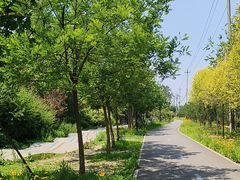 -太阳宫公园