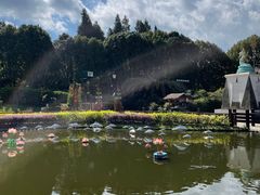 -云南民族村
