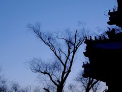 -颐和园