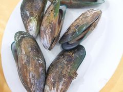 新西兰青口-蚝专家(北滘店)
