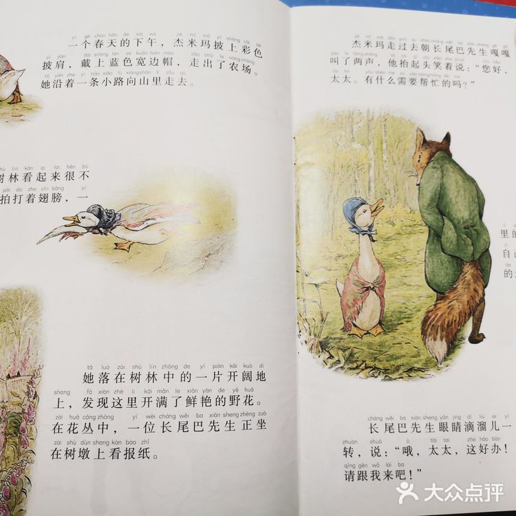 非常棒的绘本《彼得免的故事》