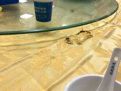 -金麒麟美食城