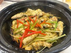 -寻味顺德·南记酒家·传统顺德菜·鱼生(广源路店)