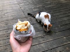 -上海虹口糕团食品厂(茂名路店)