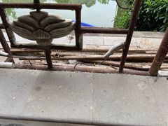 -龙潭水乡