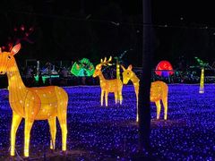 -广东花都香草世界旅游度假区