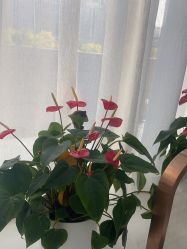 -悟空祛痘·诺奖技术专业店