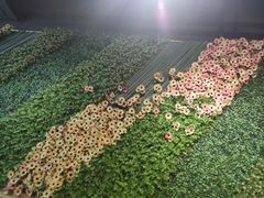 -新疆伏拉沃餐厅(白龙南路店)