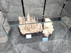 -房山世界地质公园博物馆