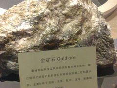 -陕西自然博物馆