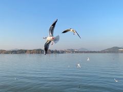 -怡莱酒店(无锡火车站南广场店)