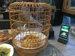 -花溪雨·森林餐厅(石基店)