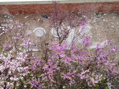 -山东大学(兴隆山校区)