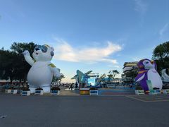 -海合安青岛极地海洋公园