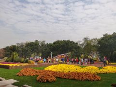 -共青国家森林公园-售票处