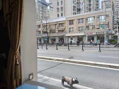 -盐城八大碗(大木桥路店)