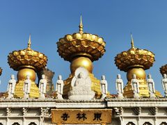 -上海东林寺(金山区)