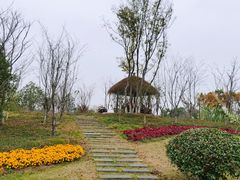 -径山花海