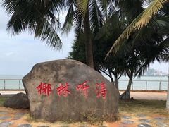 -万绿园