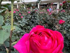 -人民公园(罗湖区)