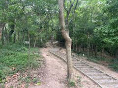 -上海佘山国家森林公园天马山园