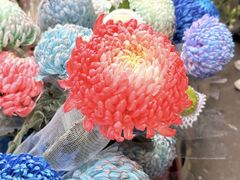 -循礼门鲜花花市(武汉循礼门店)