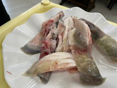 -源港渔村-中山脆肉鲩(博罗店)