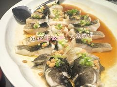 笋壳鱼-九福楼大酒店