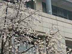 -求雨山文化公园