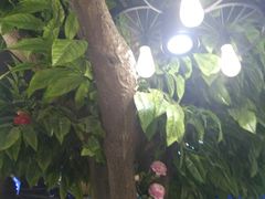 -蕃茄述·好汤自然来(江汉路店)
