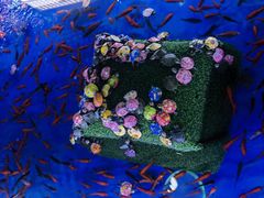 -大玩家(拱墅万达店)