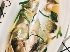 清蒸白鱼-观桥阁(锦溪店)